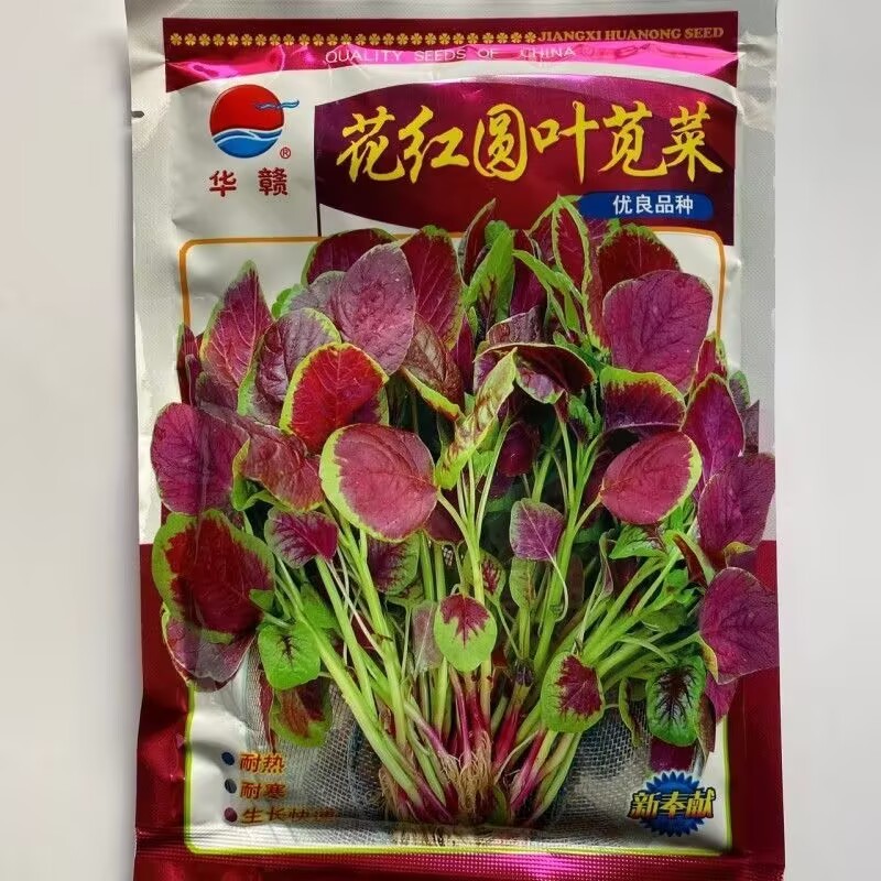 花红圆叶苋菜种子蔬菜基地型早熟高产红叶苋菜种籽生长快