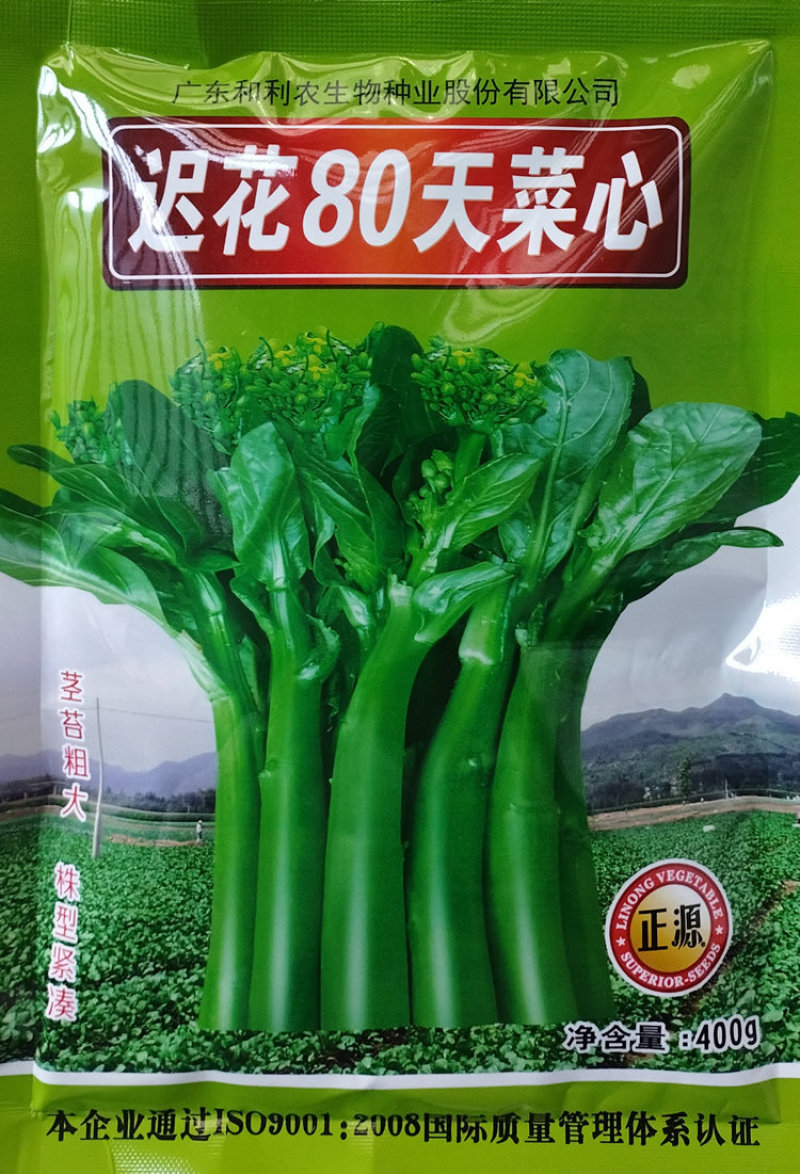 迟花80天菜心种子甜菜芯菜苔油绿晚熟菜心种籽高产茎苔粗大