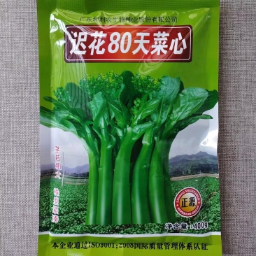 迟花80天菜心种子甜菜芯菜苔油绿晚熟菜心种籽高产茎苔粗大