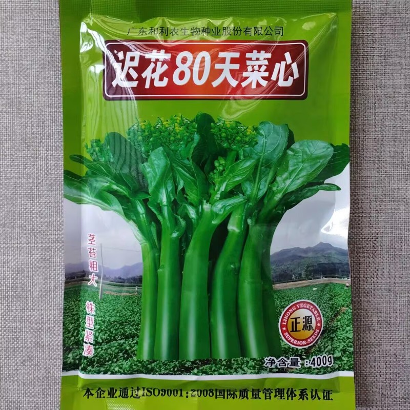 迟花80天菜心种子甜菜芯菜苔油绿晚熟菜心种籽高产茎苔粗大