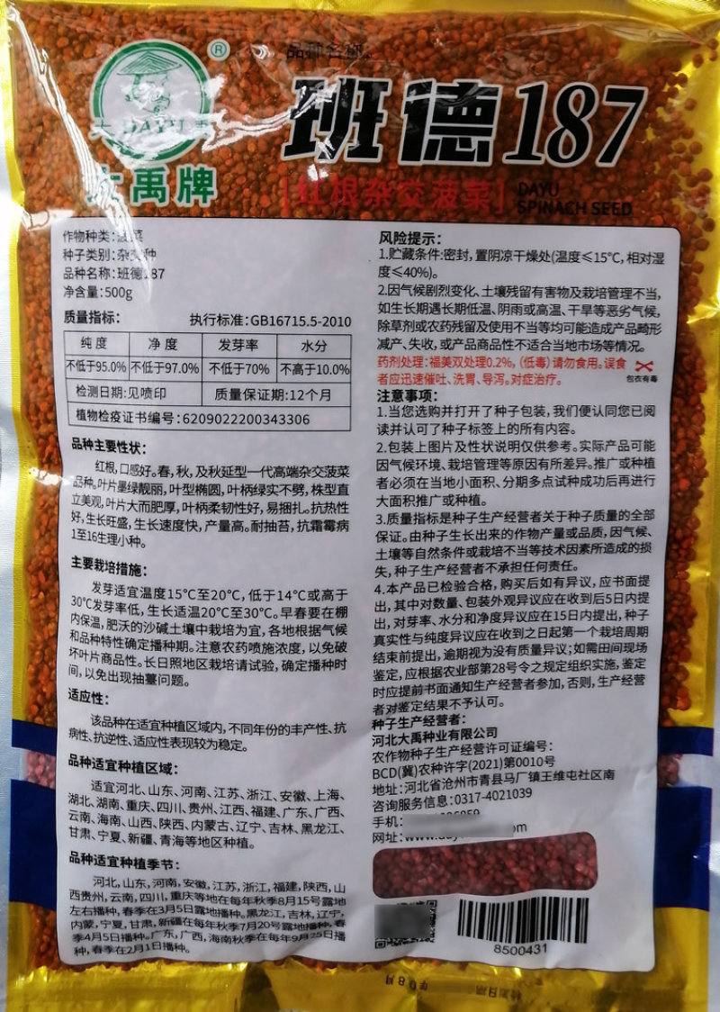 班德187杂交红根菠菜种子春秋抗病高产墨绿椭圆菠菜耐捆扎