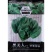 夏季黑美人菠菜种子墨绿色大圆叶菠菜籽耐热性好植株直立抗病