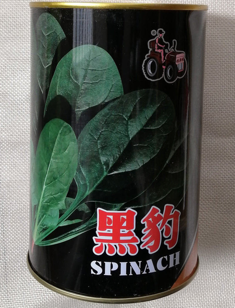 黑豹菠菜种子杂交菠菜耐寒性强产量高早熟黑旋风菠菜种籽