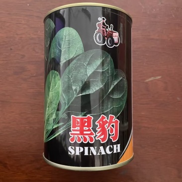 黑豹菠菜种子杂交菠菜耐寒性强产量高早熟黑旋风菠菜种籽