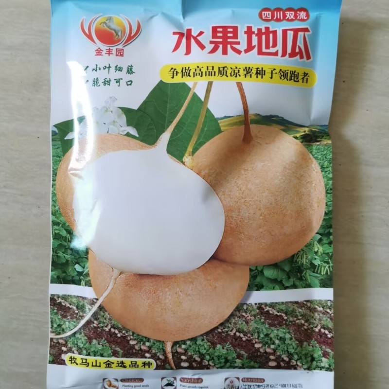水果地瓜种子早熟小叶细藤凉薯脆甜可口皮薄大田基地种植