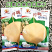 川脆超早熟一号水果地瓜种子皮薄小叶细藤凉薯种籽基地用