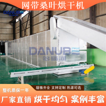 网带桑叶烘干机蛋白桑饲料桑烘干设备桑葚果干黑桑椹子干燥机