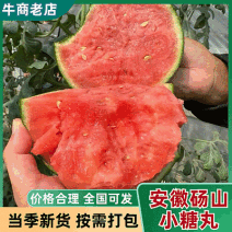 《小糖丸西瓜》砀山西瓜/手撕西瓜/冰淇淋西瓜/全国发货