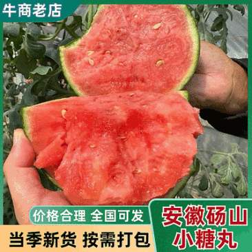 《小糖丸西瓜》砀山西瓜/手撕西瓜/冰淇淋西瓜/全国发货