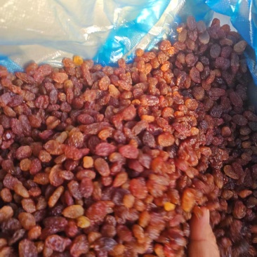 【源头工厂】吐鲁番红玫瑰葡萄干无核红色葡萄干