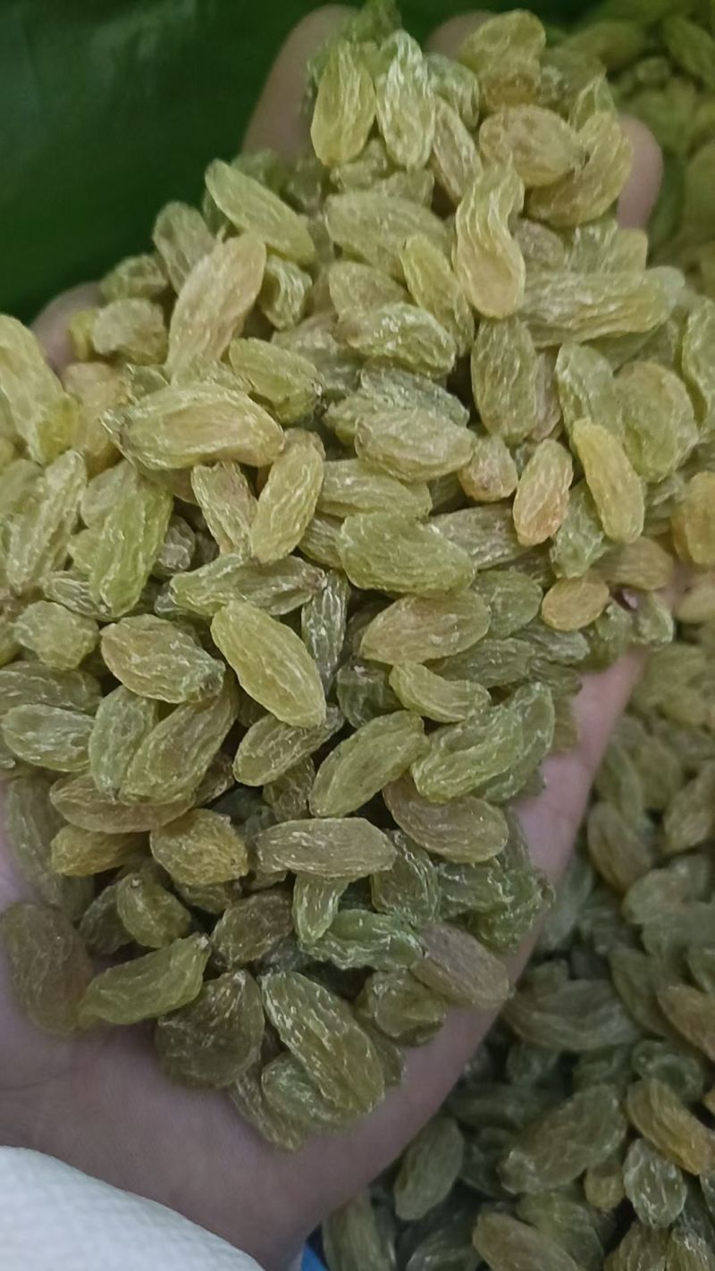 【源头工厂】新疆吐鲁番绿宝石葡萄干无核绿干