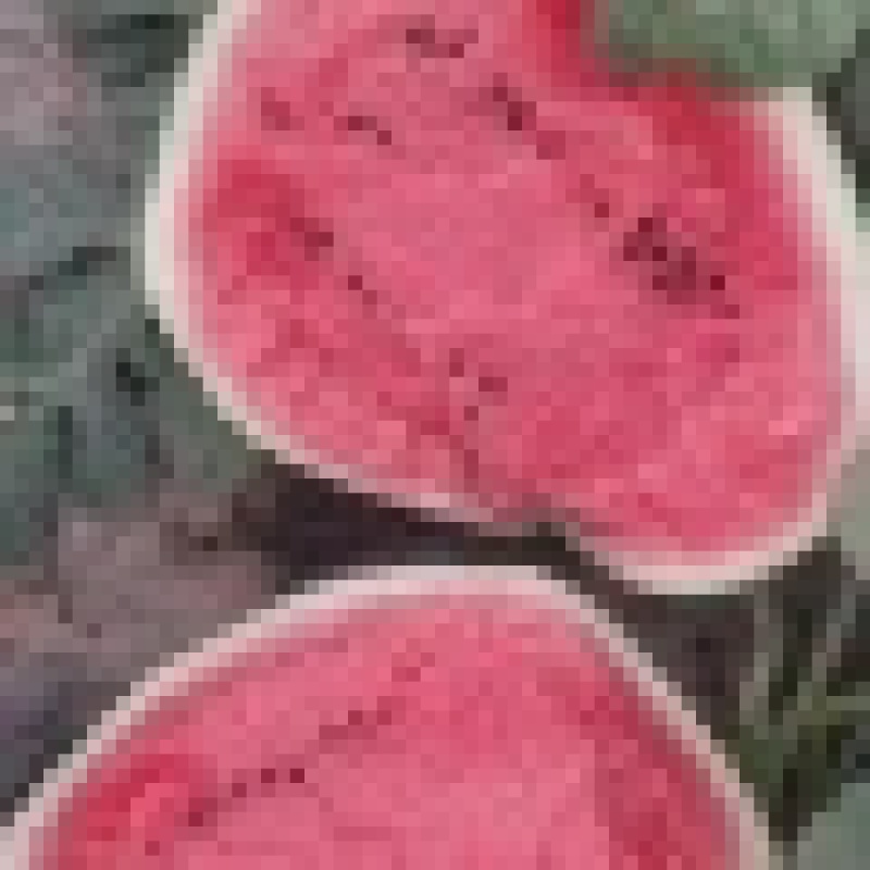 山东聊城甜王西瓜新鲜上市货源充足可全国批量发货