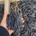 【源头工厂】新疆蓝宝石金手指葡萄干免洗零食无籽无核