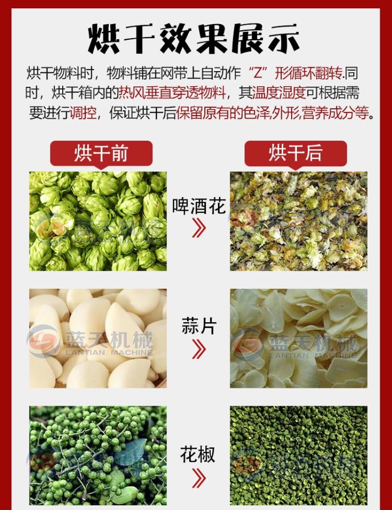 蒜片烘干机大蒜烘干设备大蒜切片清洗烘干全套设备