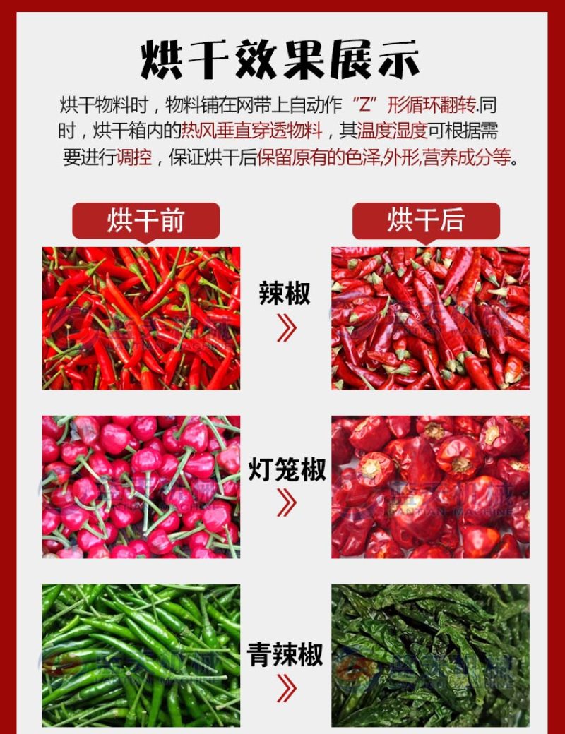 水红椒烘干机工业辣椒烘干机朝天椒草莓椒烘干设备