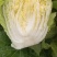 【黄心白菜】精品黄心大白菜/湖北白菜/产地直发