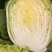【黄心白菜】精品黄心大白菜/湖北白菜/产地直发