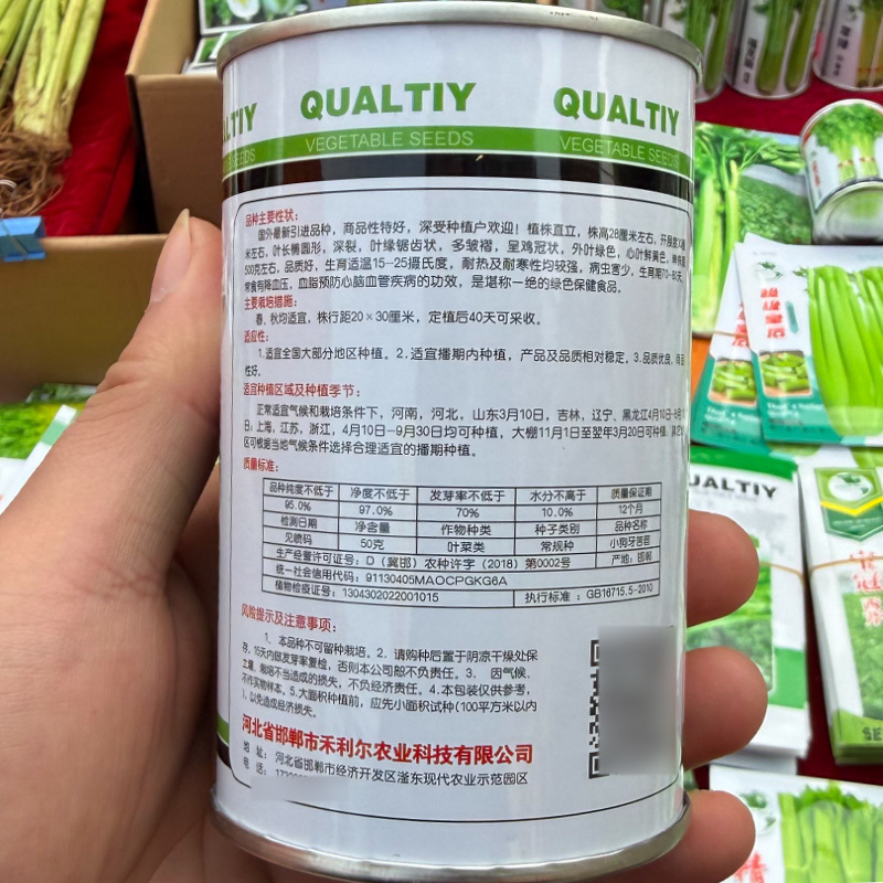 小狗芽苦苣种子黄心细叶苦苣四季耐热耐寒碎叶苦菊盆栽蔬菜种