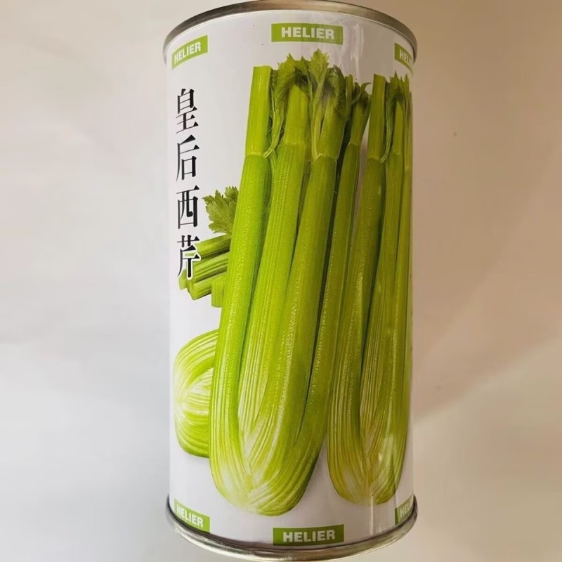 皇后西芹种子早熟西芹种籽高产速生耐寒芹菜籽大田播抗病耐热