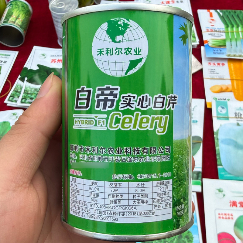 白帝实心白芹种子白杆实心芹菜种籽耐热耐寒耐抽高产芹菜种子