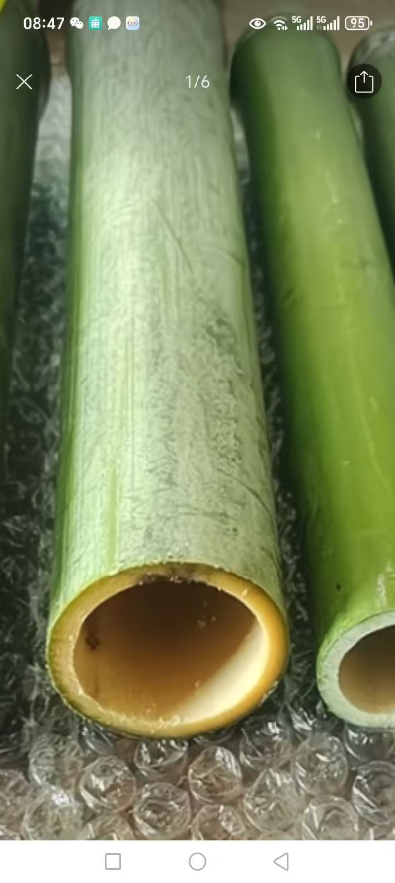 精品竹筒大量供应现砍现发多少公分的都有欢迎来电洽谈