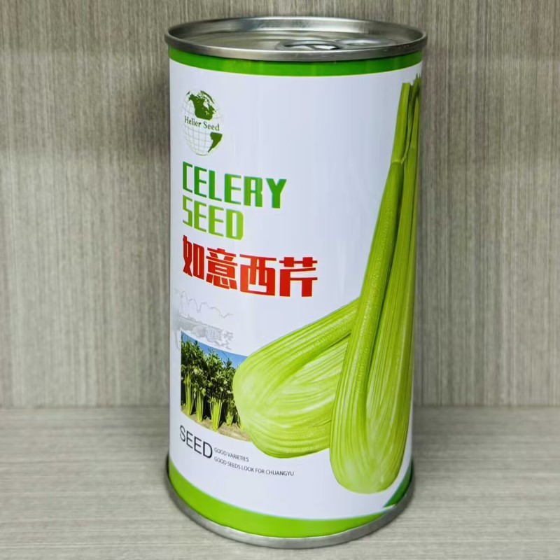 如意西芹种子法国引进纤维少抗病耐低温耐高温高产芹菜种子