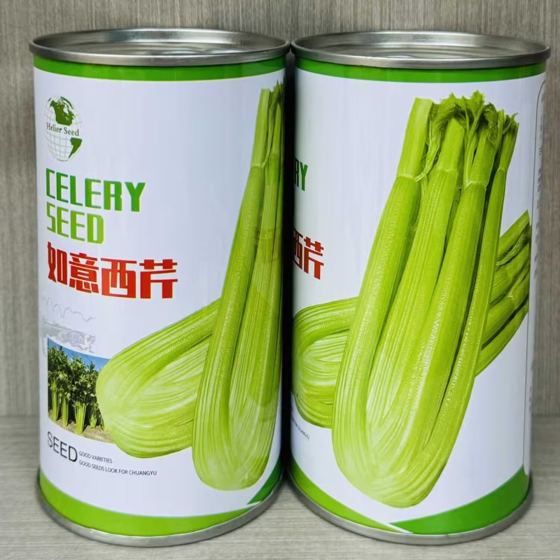 如意西芹种子法国引进纤维少抗病耐低温耐高温高产芹菜种子