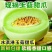 【推荐】山东玉菇甜瓜供应市场商超一手货源保质保量