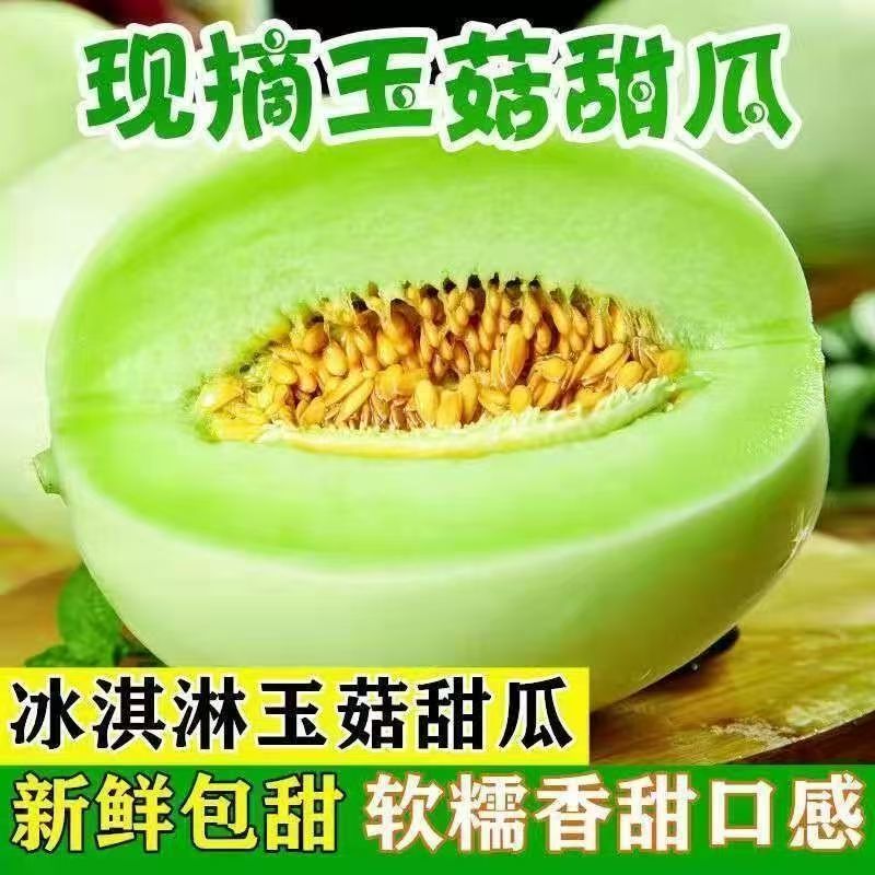 【推荐】山东玉菇甜瓜供应市场商超一手货源保质保量