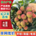 广东妃子笑精品荔枝产地直发供货代收代发货全国发货