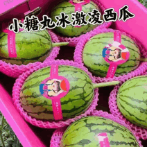 山东小糖丸西瓜早春红玉西瓜全美2k西瓜小吊瓜量大价优