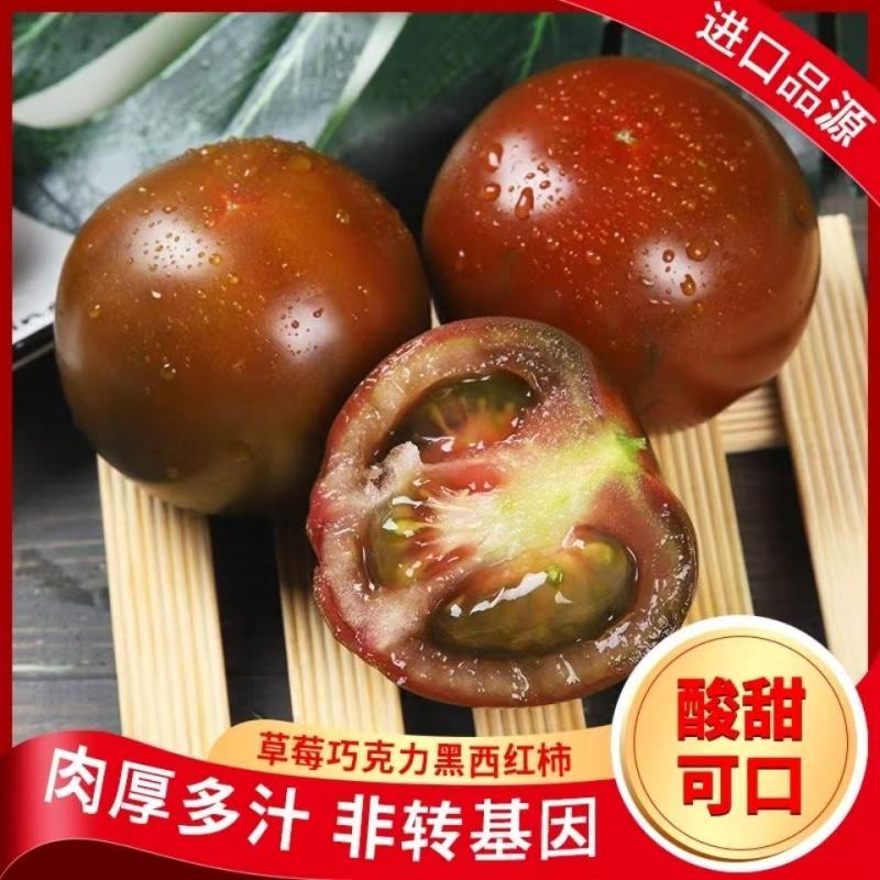 【巧克力西红柿】大黑番茄酸甜沙瓤味道浓郁欢迎选购