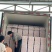 四川大五星枇杷应季上市产地一手优质货源欢迎致电