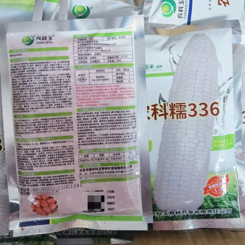 农科糯336糯玉米种子农科玉白甜糯玉米种子籽孑大田基地种