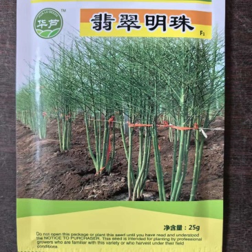 翡翠明珠芦笋种子杂交一代高产25克绿芦笋种子