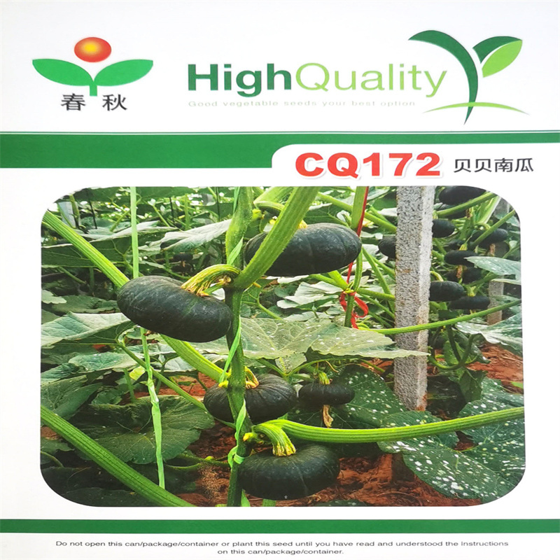 CQ172贝贝南瓜种子日本引进的优质早熟50粒