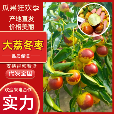 2026大荔县直发大荔大棚冬枣价格美丽货源稳定可批发