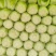 陕西天腾锦白菜不烧心烧边无黑点儿虫眼净菜毛菜都能装