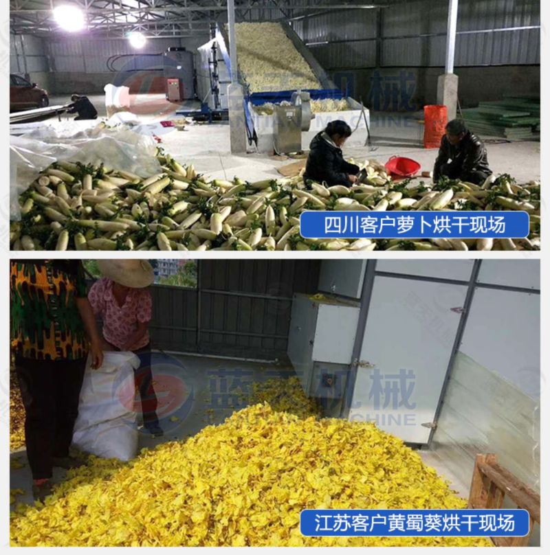 芋头皮烘干机红薯皮地瓜皮烘干设备芋头皮干燥设备