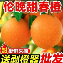 秭归伦晚脐橙，精品果，二级果，电商货，量大采购，一件代发
