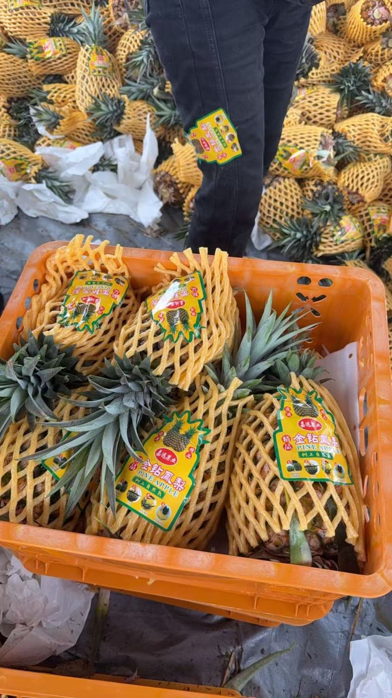 凤梨品质保证服务周到产地直发价格美丽
