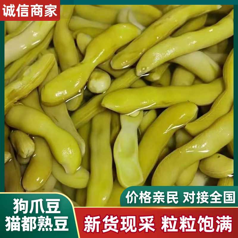 狗爪豆猫豆熟豆（保质保量）大量现货供应，对接批发量大从优