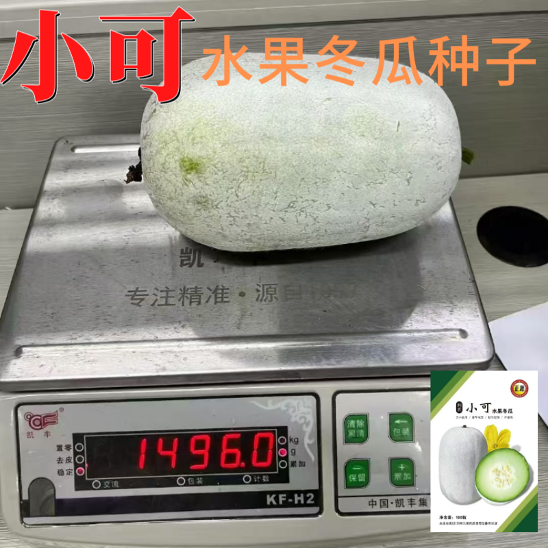 【正源】正宗利农小可水果冬瓜种子香芋冬瓜白粉皮迷你小冬瓜