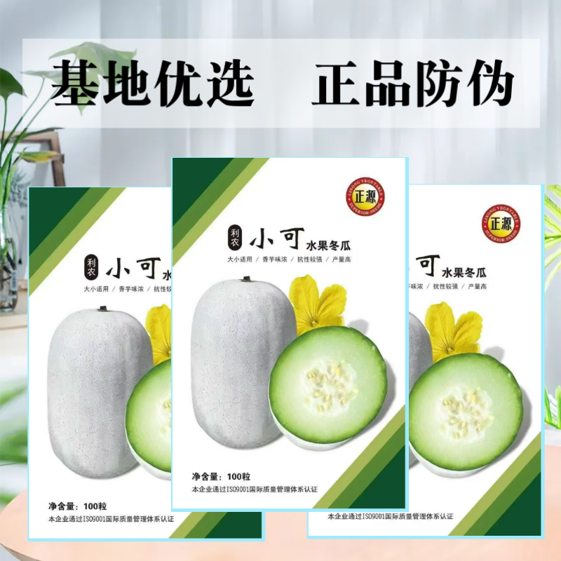 【正源】正宗利农小可水果冬瓜种子香芋冬瓜白粉皮迷你小冬瓜