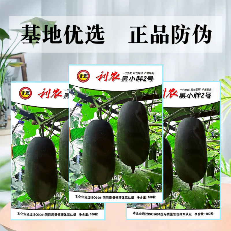 【正源】利农黑小胖2号冬瓜种子杂交新改良小冬瓜迷你黑皮冬