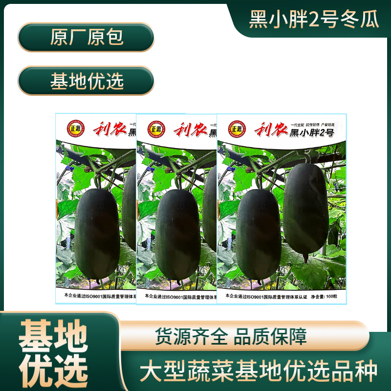 【正源】利农黑小胖2号冬瓜种子杂交新改良小冬瓜迷你黑皮冬