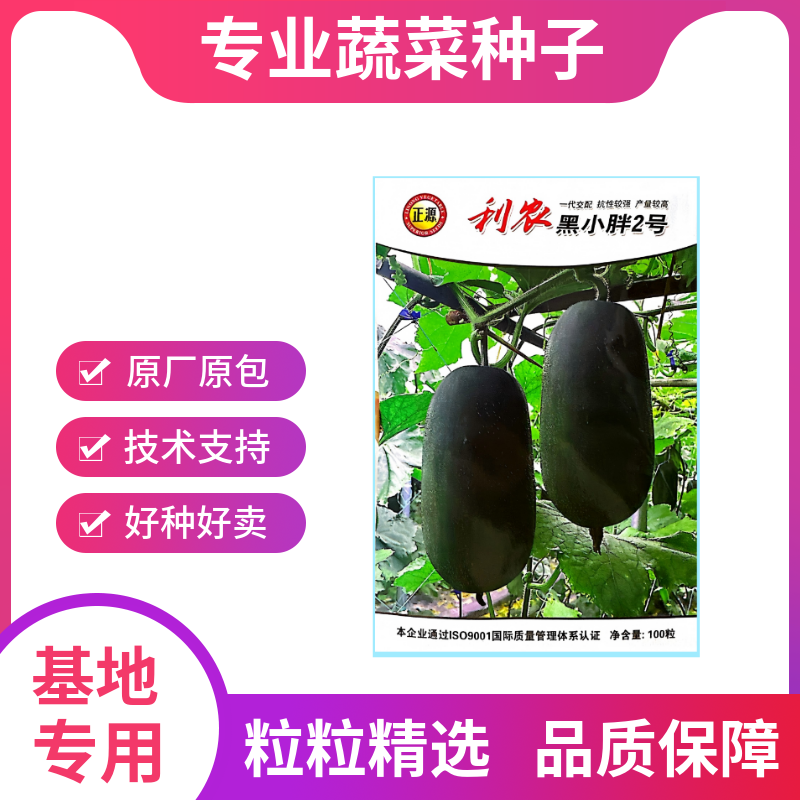 【正源】利农黑小胖2号冬瓜种子杂交新改良小冬瓜迷你黑皮冬