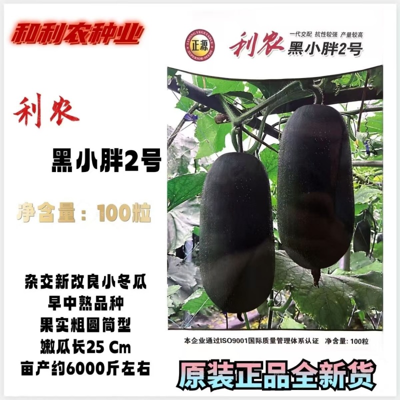 【正源】利农黑小胖2号冬瓜种子杂交新改良小冬瓜迷你黑皮冬