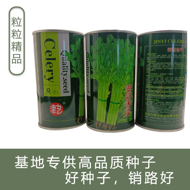 津艺翠冠香芹种子四季小香芹无纤维黄绿色速生抗倒伏芹菜种籽