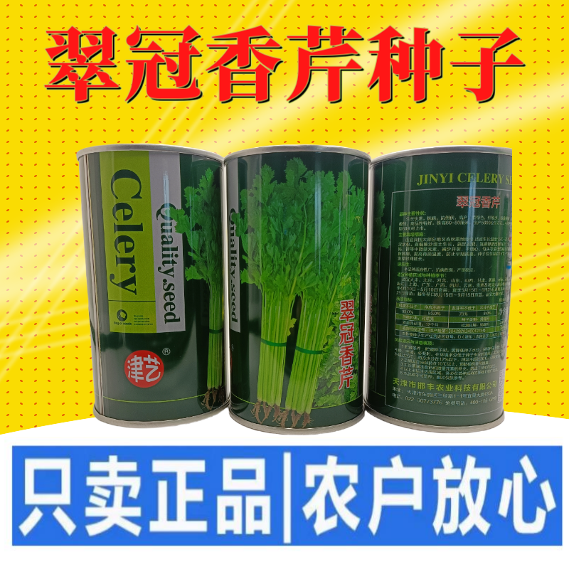 津艺翠冠香芹种子四季小香芹无纤维黄绿色速生抗倒伏芹菜种籽